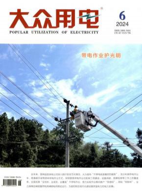 大眾用電