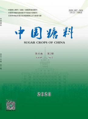中國糖料