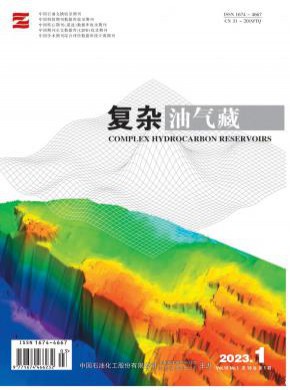 復(fù)雜油氣藏