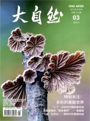 大自然