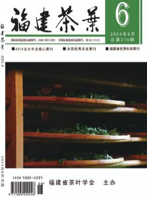 福建茶葉