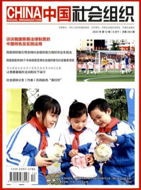 中國社會組織