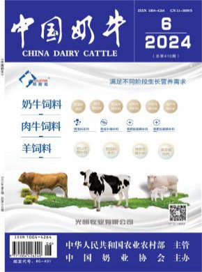 中國奶牛