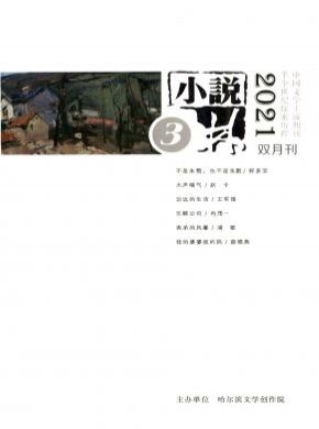 小說林