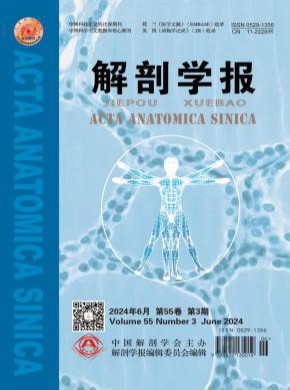 解剖學報