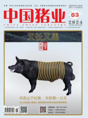 中國(guó)豬業(yè)