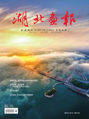 湖北畫報