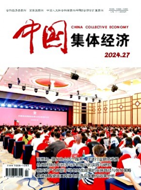 中國集體經(jīng)濟
