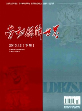 勞動(dòng)保障世界·理論版