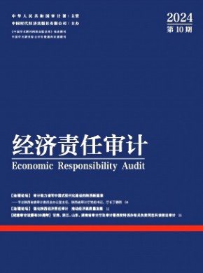 經(jīng)濟(jì)責(zé)任審計